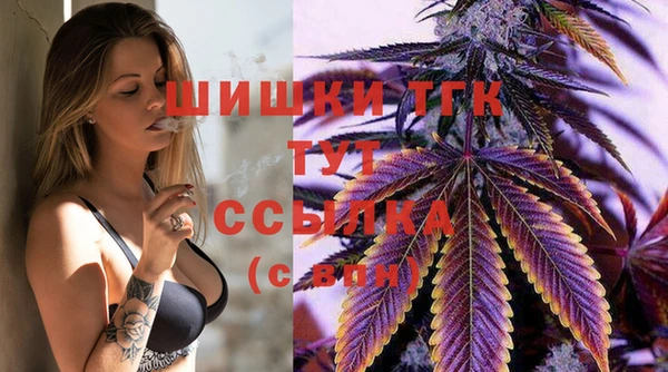 гашик Михайловка