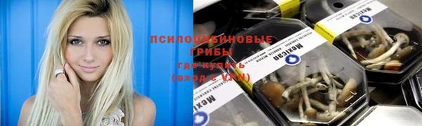 ПСИЛОЦИБИНОВЫЕ ГРИБЫ Мегион