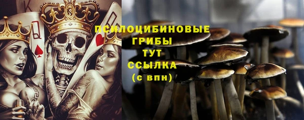 ПСИЛОЦИБИНОВЫЕ ГРИБЫ Мегион