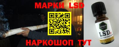 молекула духа Гатчина
