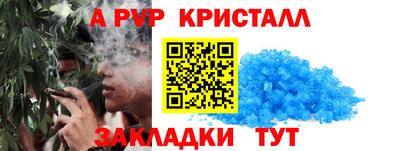 стаф Гай