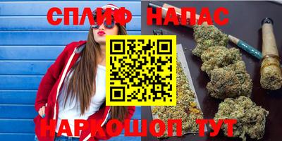 стаф Гай