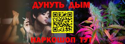 стаф Гай