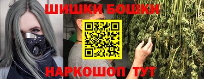 стаф Гай