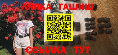 стаф Гай