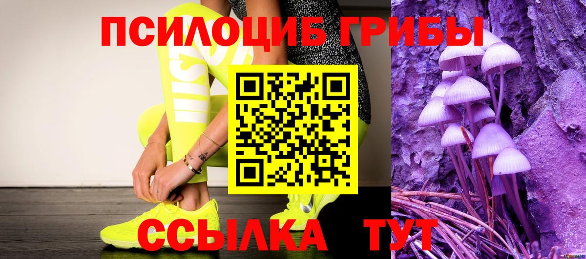 Псилоцибиновые грибы Psilocybe Астрахань