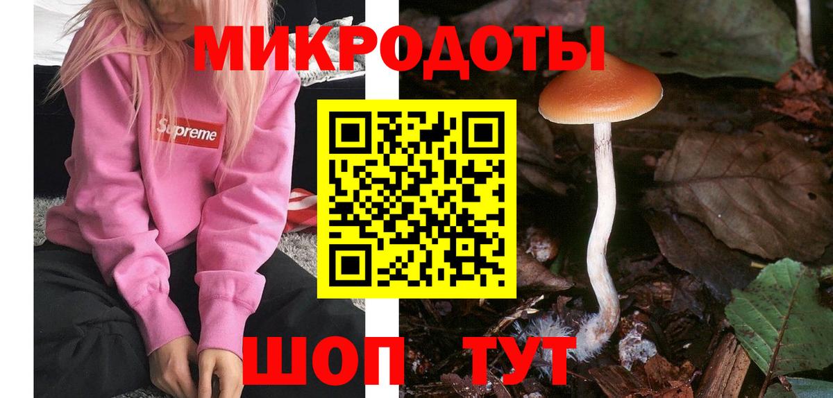Галлюциногенные грибы MAGIC MUSHROOMS  Вход с VPN  Астрахань 