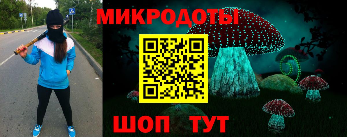 Псилоцибиновые грибы мицелий Астрахань