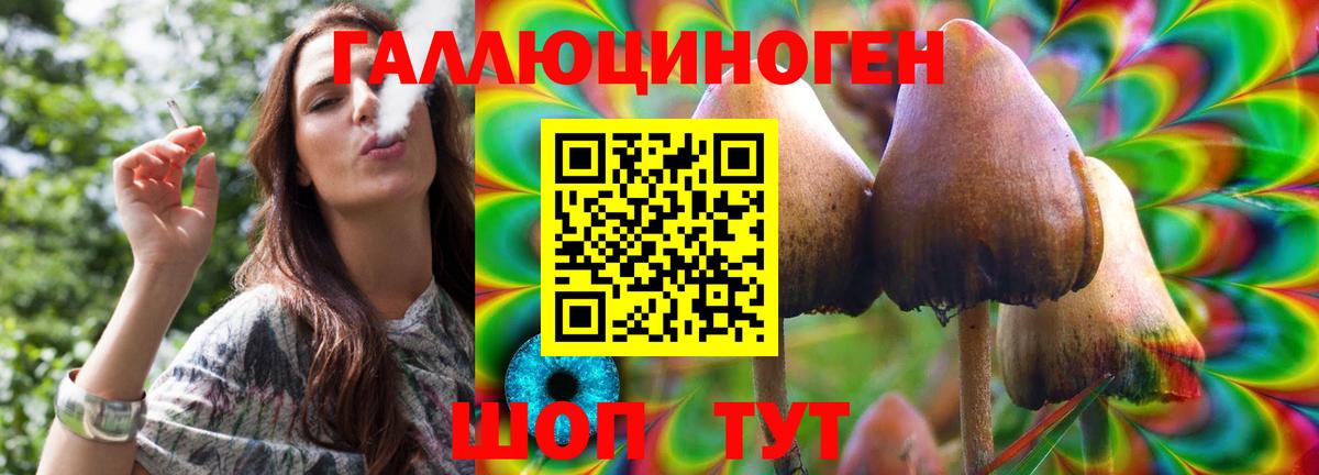 Псилоцибиновые грибы Psilocybe  Астрахань 