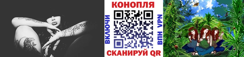 Канабис OG Kush Астрахань